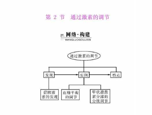 激素调节过程（激素调节过程图解）-图3