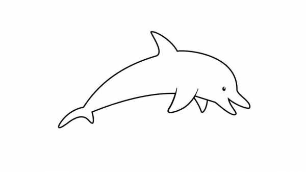 海豚简笔画过程（海豚简笔画画法步骤）-图1