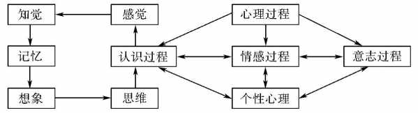 个性过程的定义（个性心理过程包括什么）-图3