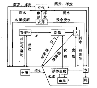 过程环境的涵义（环境过程名词解释）-图3