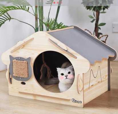小猫制作过程房子（小猫制作过程房子怎么画）-图2