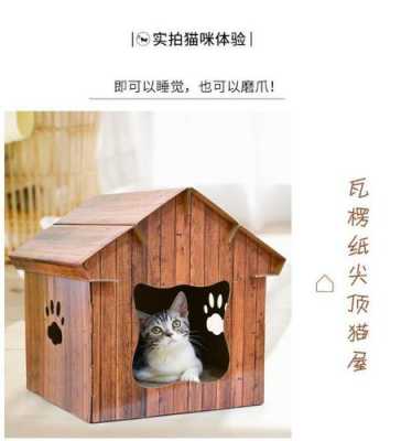 小猫制作过程房子（小猫制作过程房子怎么画）-图1