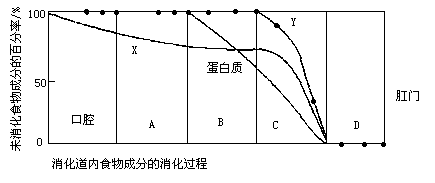 淀粉消化的过程（淀粉消化过程曲线）-图3