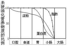 淀粉消化的过程（淀粉消化过程曲线）-图2