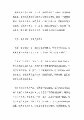 小狗学飞过程图片（小狗学会了什么填空）-图1