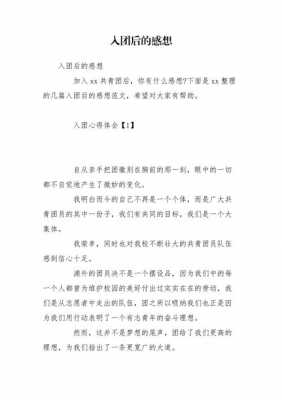 入团过程作文500字（入团的过程感受）-图3