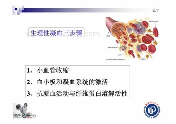 vwF凝血过程（凝血fviii的作用是什么）-图1