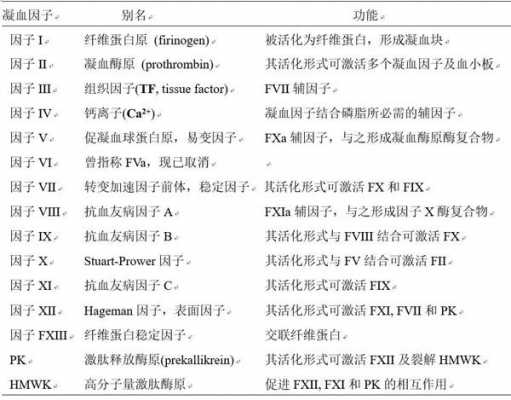 vwF凝血过程（凝血fviii的作用是什么）-图3