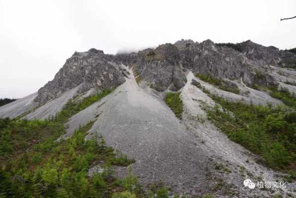 流石滩的形成过程（高山流石滩的形成原因）-图3