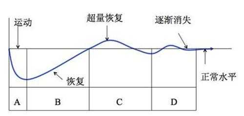 超量恢复包括几个过程（超量恢复包括几个过程阶段）-图2