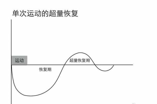 超量恢复包括几个过程（超量恢复包括几个过程阶段）-图3