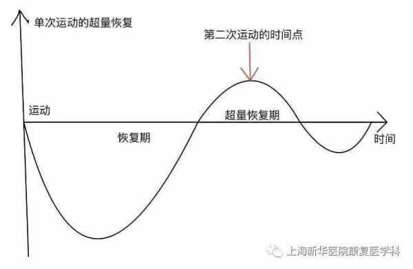 超量恢复包括几个过程（超量恢复包括几个过程阶段）-图1