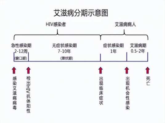 hiv临床感染过程（hiv临床感染过程图）-图3