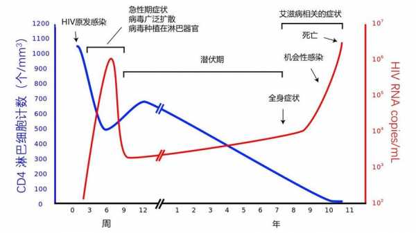 hiv临床感染过程（hiv临床感染过程图）-图2