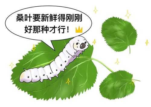 蚕的吃桑叶过程（蚕吃桑叶的视频动画）-图2