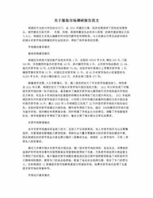 服装调查研究过程（服装调研报告格式模板范文）-图1