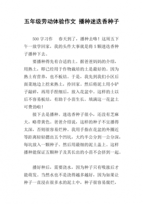 播种的过程作文（关于播种的作文500字）-图1