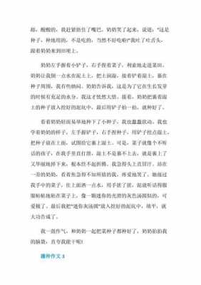 播种的过程作文（关于播种的作文500字）-图3