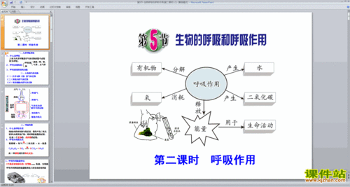 呼吸过程科学（呼吸过程科学解释）-图3