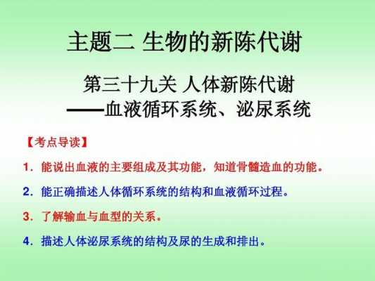 简述人体造血过程图解（人体造血系统概述）-图3