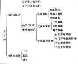 知识学习的过程()（元认知策略包括哪三个方面）-图1