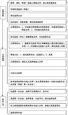 选举办法形成过程（选举办法的产生）-图2