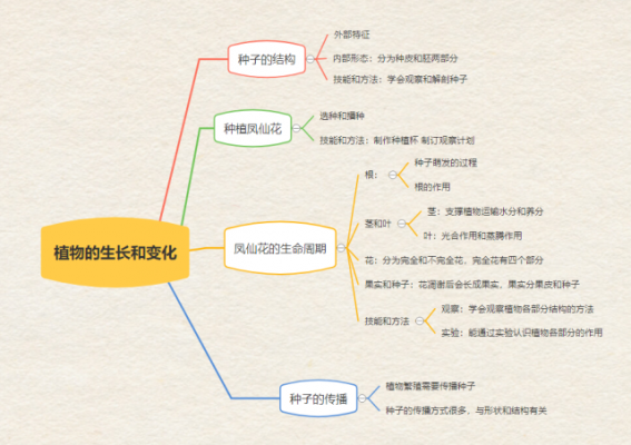 植物发育过程图ppt（植物发育思维导图）-图3