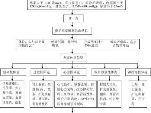 休克过程中（休克过程中,最早最容易受损害的器官是）-图1