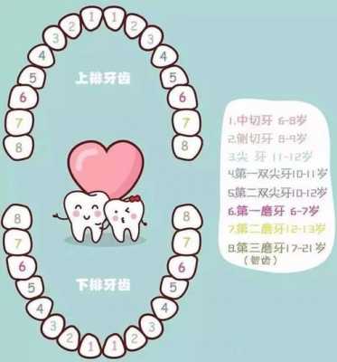 换牙详细过程（换牙过程视频）-图1