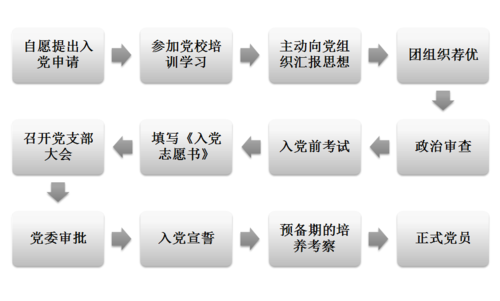 入党的过程认识（入党流程认识）-图3