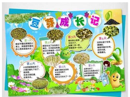 豆子发芽过程感受（豆子发芽过程观察日记手抄报）-图2