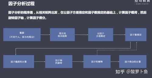 关于因子分析的过程的信息-图3