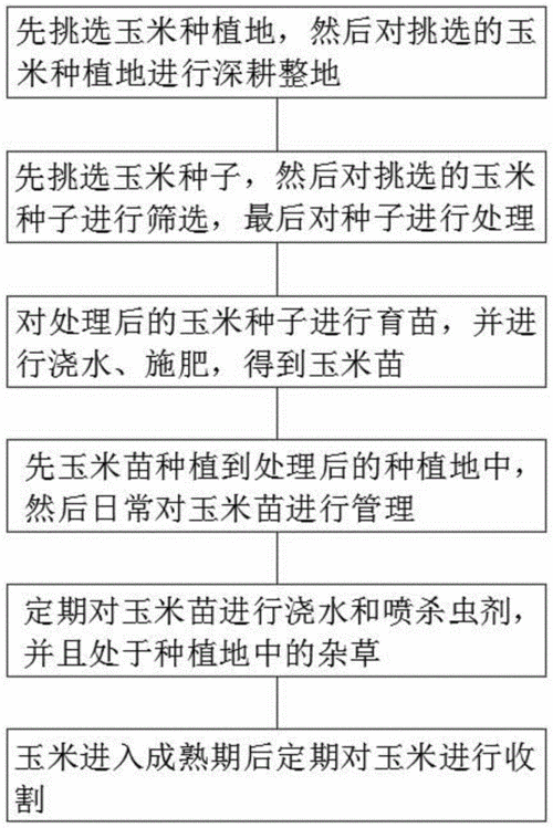 粮食的种植过程总结（粮食的种植过程总结图）-图1