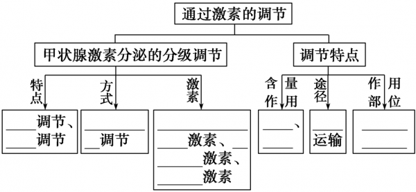 激素调节教学过程（激素的调节试讲）-图2