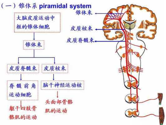 运动传递过程（运动传递过程的特点）-图3