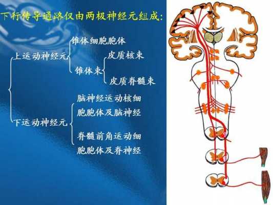 运动传递过程（运动传递过程的特点）-图2