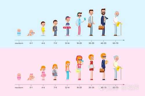 人类成长的过程包括（人类成长过程图片大全）-图1