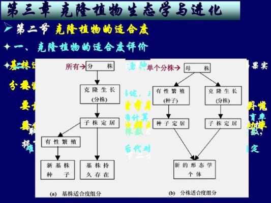 植物克隆培育的过程（植物克隆的条件）-图3