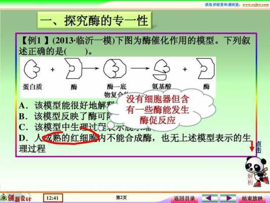 耐热酶的选育过程（耐高温酶怎么得到的）-图1