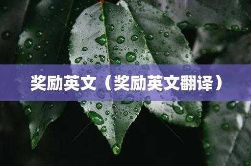 过程即奖励谁说的（过程就是奖励英文）-图1