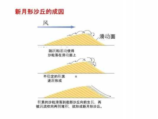 新月型沙丘形成过程（新月型沙丘的形成）-图3