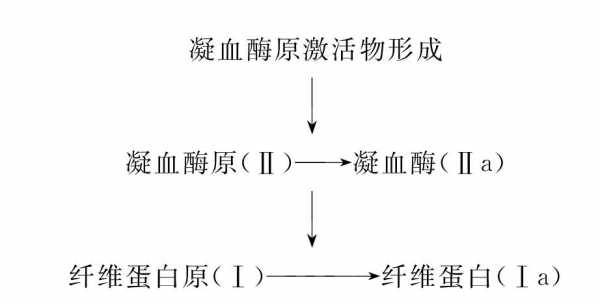 简述血液凝固的基本过程（简述血液凝固的基本过程生理学）-图3