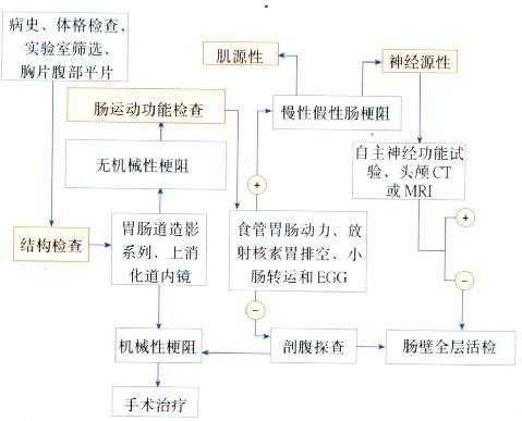 肠动力检查过程（肠动力检查过程图）-图1