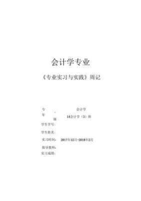 会计实践过程记载（会计实践过程记载内容）-图3