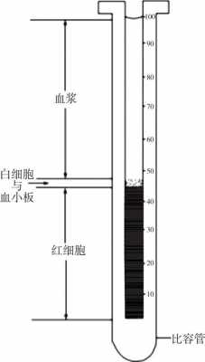 血细胞比容过程（血细胞比容的数值主要反映血液中的什么）-图3