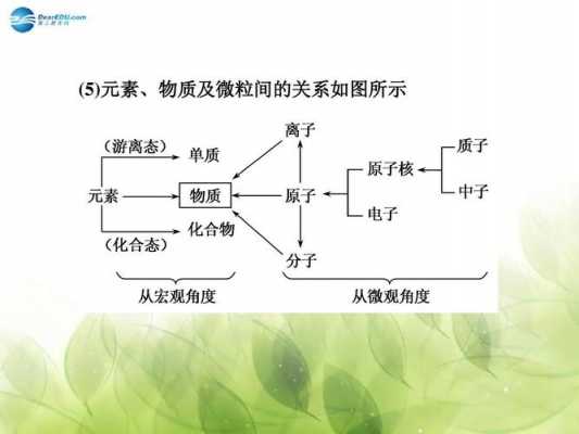 微粒的转化过程（微粒构成）-图1