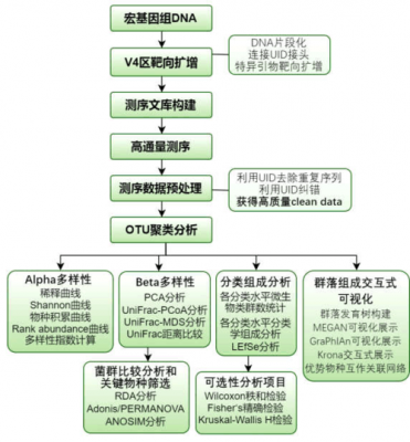 16srrna过程（16srrna技术）-图2