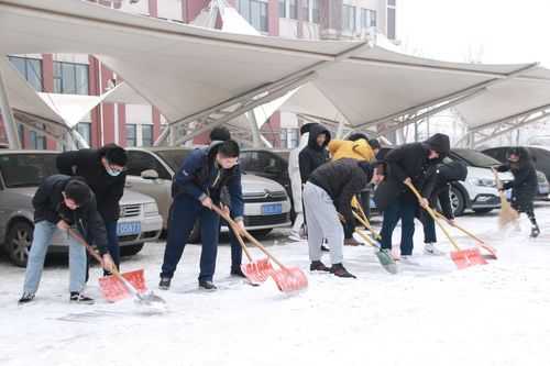 大学扫雪活动过程（学校扫雪活动）-图3