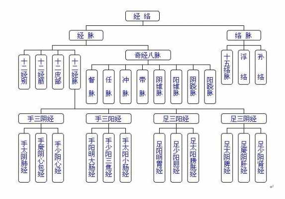 经络发展过程（经络的发展）-图1