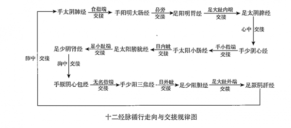 经络发展过程（经络的发展）-图2